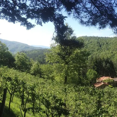 Casale Camalda Appartement Serravalle (Bibbiena)