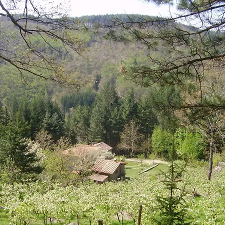 Casale Camalda Appartamento